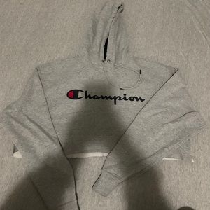 Cropped Gray Champion Sweatshirt